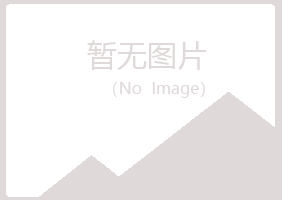 南充山柏会计有限公司